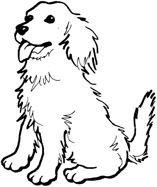 Dogs 11